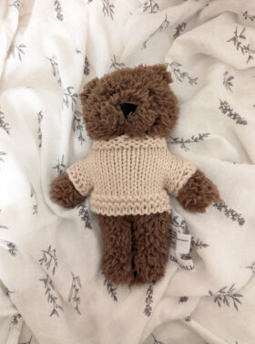 Petits compagnons câlins